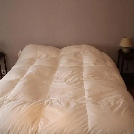 Maison De Caractère Avec Piscine *